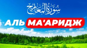 Сура "Аль_Ма'аридж" Ступени|Идрис Абкар
