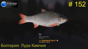 #152 Болгария:Луда Камчия ч.17 Путь к серебру: поиски неуловимого подуста. Прохождение Fisher Online