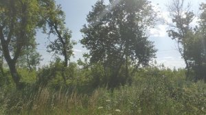 Прощание с летом