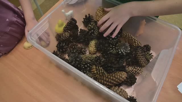 Развивающие игры с природными материалами для детей дошкольного возраста смотреть онлайн