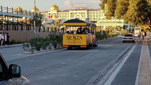 рабочая лошадка