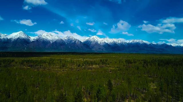 Дикая природа, красота мира 4К 8К Full HD (Wildlife, World Beauty 4K 8K Full HD) смотреть онлайн