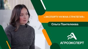 Стратегия и детальный анализ критически важны при выходе на зарубежные рынки — эксперт