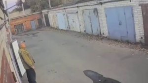 🔴Прилёты по свинарникам на бывшей Окраїне🔴