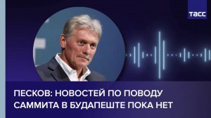 Песков: новостей по поводу саммита в Будапеште пока нет