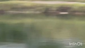 1000123729.mp4