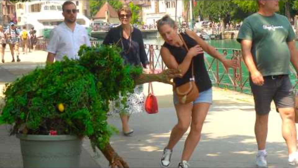 Ultimate bushman prank; THE BEST SUMMER REACTIONS 2025 смотреть онлайн