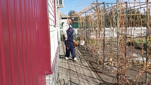 Убрал листья на винограднике | Осень пришла