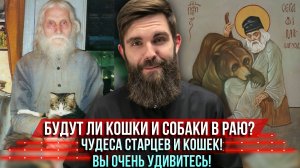 ❗️Будут ли кошки и собаки в Раю? Чудеса старцев и кошек! Вы очень удивитесь!