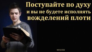 Поступайте по духу ♥️🙏 Проповедь МСЦ ЕХБ