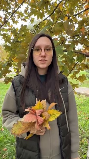 Библиотека 14 п.Рыздвяный