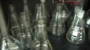 "МИМОХОДОМ", 22 октября 2009 год. Автор проекта О. Дзиов