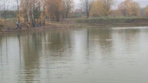 WhatsApp Video 2025-10-22 at 09.52.41
