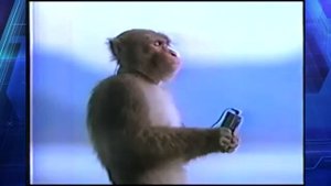 Мог ли Ютуб появится на 5  лет раньше? [Короче VOLGIN]