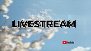 LIVESTREAM 24.10.25 г. в 19:00 ч. по Москве,18:00 ч. по Берлину