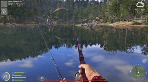 Русская рыбалка 4.  Куори. Первый опыт на болонской и сразу борьба.