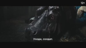 Красавица | Трейлер фильма (2026) История, драма, приключения