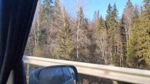 22-10-2025  Дорога   уходит вдаль