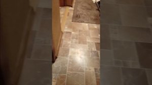 милые собаки от которого пульт ми-ми-миши с тва сломался