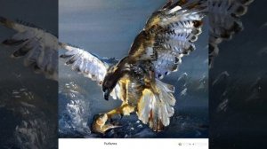 Живопись Оксаны Кравченко. Красота и гармония. 1. Птицы