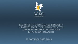 Заседание комитета по бюджету 22.10.2025