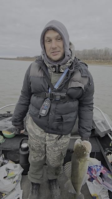 Обновил рекорд по судаку. Дела трофейные смотреть онлайн