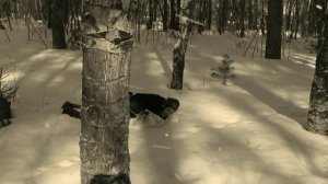 Буктрейлер “Повесть о настоящем человеке”