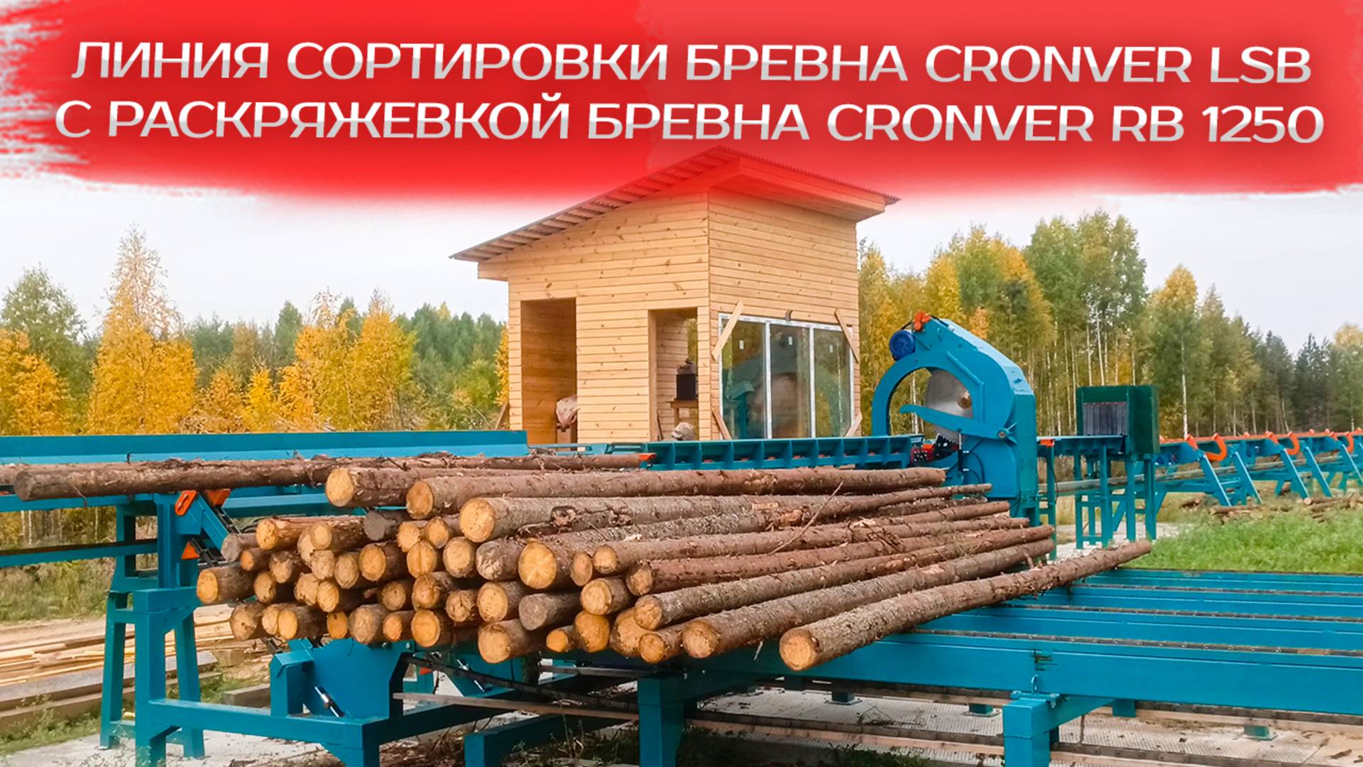 Линия сортировки бревна Cronver LSB с раскряжевкой бревна Cronver RB 1250 смотреть онлайн