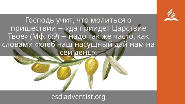 23 октября 2025. Тысяча лет как один день. Под сенью благодати | Адвентисты