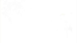 Подарок VIP- консультантам