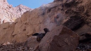 Паисий Святогорец 3 фильм  "Синайский отшельник"