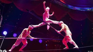 На связи цирк 20.10.2025