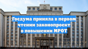 Госдума приняла в первом чтении законопроект о повышении МРОТ
