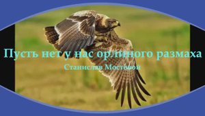Пусть нет у нас орлиного размаха