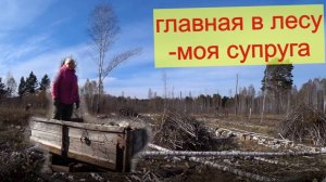 Без женских рук в деляне не работаю - дрова для дома своим силами.