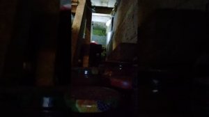 Облагораживаю подполье