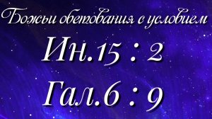 Божьи обетования (17)