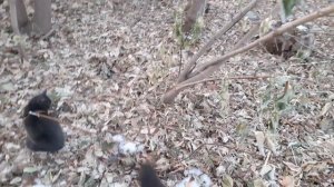 На улице хорошо.