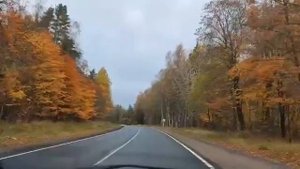 Осень за окном автомобиля