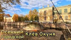 Осенний Октябрьский Городской Клёв Окуня РЫБАЛКА СТРИТФИШИНГ ОСНАСТКА ДРОПШОТ ОТВОДНОЙ ФОНТАНКА
