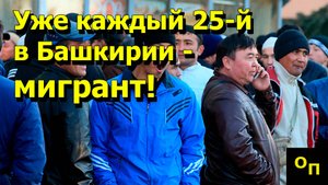 "Уже каждый 25-й в Башкирии - мигрант!" "Открытая Политика" Экономика 23.10.25