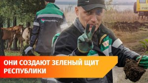 В Башкирии высадили 255 тысяч деревьев. Кто обновляет лес республики