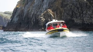 Морской круиз в Тасмании: 300 -метровые скалы и тюлени, пещеры, киты, бакланы! Tasman Island Cruises