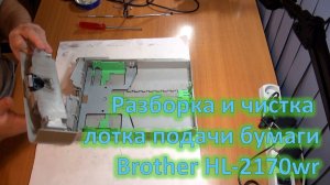 Разборка и чистка лотка подачи бумаги принтера Brother HL-2170wr