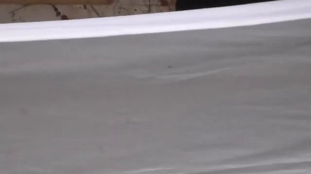 Майский слет ЭСТА МИФИ 2021 Сороконожки немонтированное