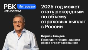 Корней Биждов: «2025 год может стать рекордным по объему страховых выплат в России»