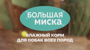 Влажный корм "БОЛЬШАЯ МИСКА" для собак всех пород от ZOOGURMAN
