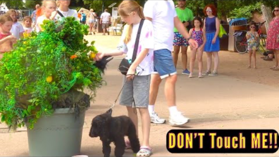 BEST BUSHMAN PRANK 2025 _ BABY GIRL HAD NO IDEA IT WASN'T REAL🙈😭 смотреть онлайн