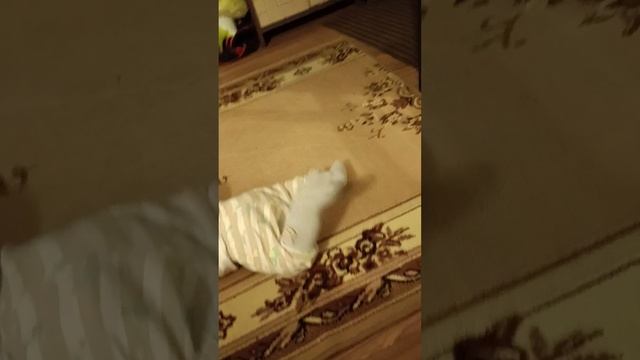 сыночка 