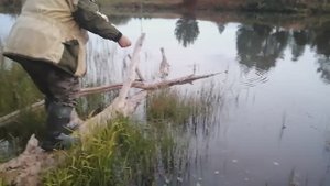 РЫБАЛКА вечерком! КАРП ушёл в КОРЯГУ!